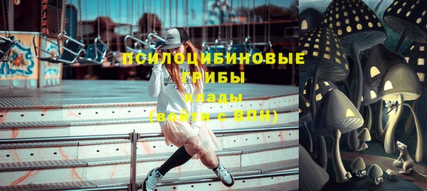 дмт Абаза